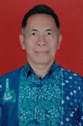 I NYOMAN ROMANGSI
